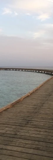 Foto Blog 2